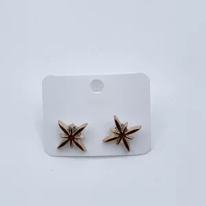 Arira stylish small earrings in gold  set of 3